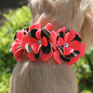 Susan LanciX[UV[Sarah CollarpXtXLt