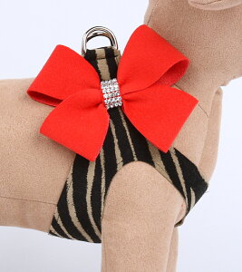 Susan Lanci/X[UV[Contrasting Nouveau Bow HarnessXtXL[tn[lXZQeB×bhybp[iv~AJ[j