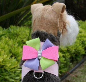 Susan Lanci/X[UV[Madison Tinkie HarnessXtXL[tn[lX