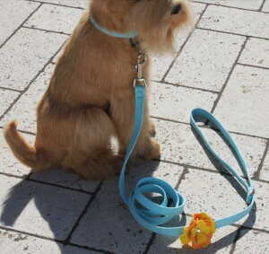 Susan LanciX[UV[Darla LeashXtXLt[h