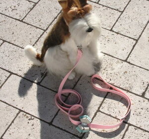 Susan LanciX[UV[Hope LeashXtXLt[h