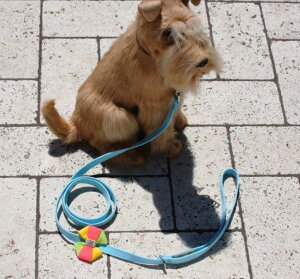 Susan LanciX[UV[Angela LeashXtXLt[h