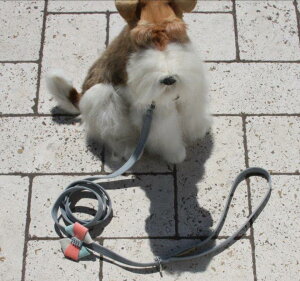 Susan LanciX[UV[Julia LeashXtXLt[h