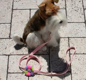 Susan LanciX[UV[Madison LeashXtXLt[h