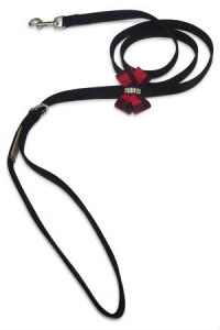 Susan LanciX[UV[Red Gingham Nouveau Bow LeashXtXLt[h