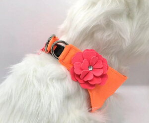 Susan Lanci/X[UV[Tinkie's Garden HarnessGNgbNIW×GNgbNsNXtXL[tn[lX