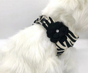 Susan Lanci/X[UV[Tinkie's Garden Harness[u×ubNXtXL[tn[lX