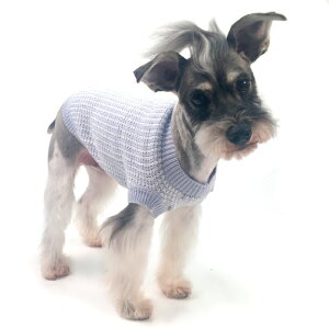 Oscar NewmaniIXJ[j[}jIt's a Boy SweaterpZ[^[