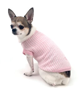 Oscar NewmaniIXJ[j[}jIt's a Girl SweaterpZ[^[