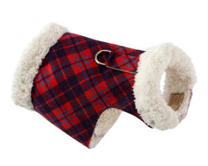 Susan Lanci/X[UV[Scotty BowzerpEgXG[hR[g`FXibg