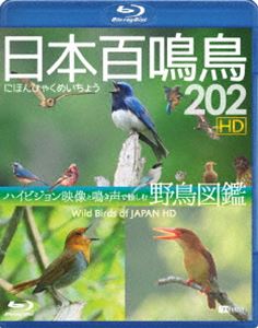 シンフォレストBlu-ray 激安超特価 高品質 日本百鳴鳥 202 HD Blu-ray ハイビジョン映像と鳴き声で愉しむ野鳥図鑑