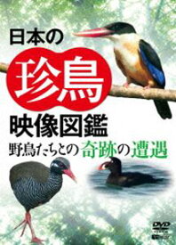 日本の珍鳥 映像図鑑 野鳥たちとの奇跡の遭遇 [DVD]