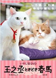 いやし猫DVD 猫侍 玉之丞ときどき春馬 [DVD]