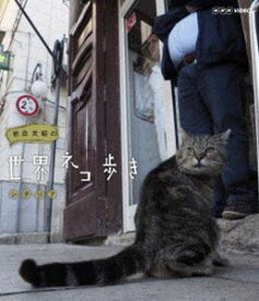 岩合光昭の世界ネコ歩き シチリア [Blu-ray]