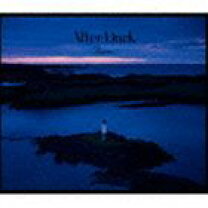 楽天市場】aimer アフターダークの通販 