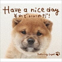 楽天市場】cd have a nice dayの通販 