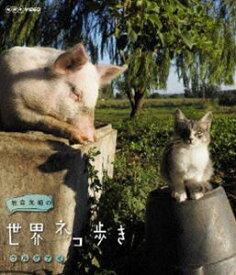 岩合光昭の世界ネコ歩き ウルグアイ [Blu-ray]