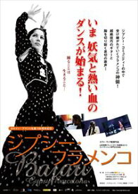 ジプシー・フラメンコ [DVD]