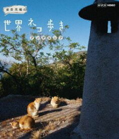 岩合光昭の世界ネコ歩き アンダルシア [Blu-ray]