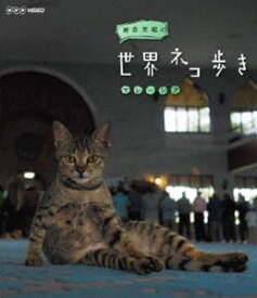 岩合光昭の世界ネコ歩き マレーシア [Blu-ray]
