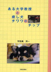 楽天市場 犬 癒し 小説 エッセイ 本 雑誌 コミック の通販 楽天市場 犬 癒し 小説 エッセイ 本 雑誌 コミック の通販