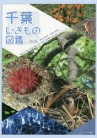 楽天市場 軟体動物 図鑑の通販