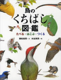 楽天市場 鳥 くちばしの通販 楽天市場 鳥 くちばしの通販