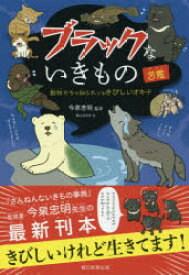楽天市場 横山みゆきの通販