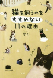 猫を飼うのをすすめない11の理由