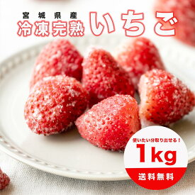 【宮城県産 冷凍イチゴ！1kg】いちご ブランド苺 ヘタなし とちおとめ 国産 冷凍 フルーツ 果物 フローズン おやつ スムージー アイス ひんやりストロベリー 冷凍食品 スムージー フルーツ 加工用 ジャム いちごミルク