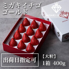 【送料無料】【出荷日指定可】ミガキイチゴ・ゴールド （大粒いちご420g）【化粧箱入り】イチゴ農場から直送!! 高級イチゴ　食べる宝石 贈答用 贈り物 ギフト プレゼント 宮城県山元町 日付指定　とちおとめ　よつぼし　ハナミガキ　すず　卒業　卒園　入学　入園