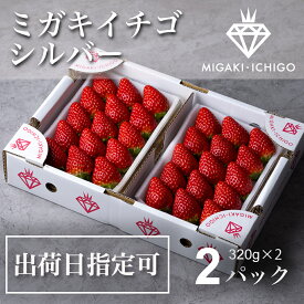 デイリーランキング1位【送料無料】【出荷日指定可】ミガキイチゴ シルバー（大粒）2パック 320g×2 高級いちご 贈答用 日付指定 宮城　とちおとめ　よつぼし　ハナミガキ　すず　母の日　卒業　卒園　入学　入園 お礼ギフト 贈り物 ご褒美