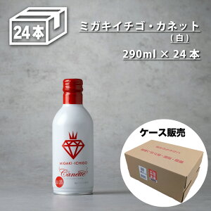 yzy~KLC`SEJlbg24{Zbgz Y ʃC 290ml × 24{ P[X   Xp[NOC܂Ƃߔ  a A O p[eB[ L
