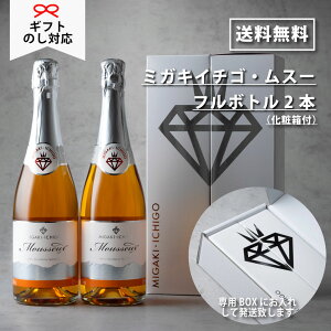 ギフトに!【送料無料】【ミガキイチゴ・ムスー(化粧箱入り)2本セット】いちご100%スパークリングワイン 720ml × 2本