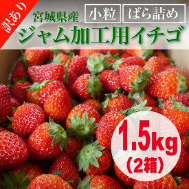 【送料無料】【日時指定可】宮城県産/ジャム加工用イチゴ（小粒、ばら詰め）2箱(1.50kg)手作りジャム用 いちごジャム用 山元町 農場直送 新鮮 いちご 苺 バラ詰め とちおとめ よつぼし ハナミガキ 発送日指定 日付指定