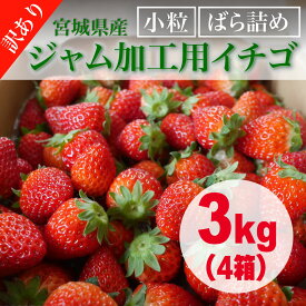 【日時指定可】宮城県産/ジャム加工用イチゴ（小粒、ばら詰め）4箱(3.0kg)手作りジャム用 いちごジャム用 山元町 農場直送 新鮮 いちご 苺 バラ詰め とちおとめ よつぼし ハナミガキ 発送日指定 日付指定 ケーキ用 誕生日 卒入学