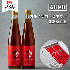 【ミガキイチゴ・ビネガー500ml 2本】 鹿児島県伝統の露天醸造法 ミガキイチゴを30%使用したイチゴ酢 お酢ドリンク ビネガードリンク フルーツビネガー 果実酢 フルーツ酢 サワードリンク 苺 いちご ギフト贈り物 敬老の日