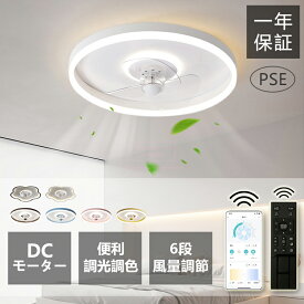 【期間限定10％OFF】シーリングファンライト LED サーキュレーター シーリングライト 調光 調色 風量調節可 常夜灯 ファン付きライト 空気循環 照明器具 天井照明 省エネ 節電 家庭用 リビング 寝室 部屋 洋室 和室 リモコン おしゃれ DCモーター 電気 LED天井ファンライト