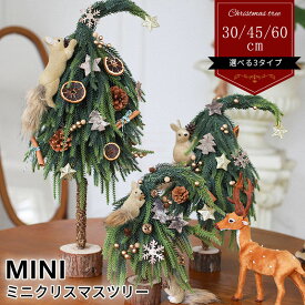 クリスマスツリー 卓上 卓上クリスマスツリー 30cm 45cm 60cm ヌードツリー ミニクリスマスツリー 小型 セット DIY オーナメント クリスマス飾り 置物 デコレーション 北欧風 玄関 店舗 ウィンドウ飾りユニークで個性あふれるデザイン おしゃれ かわいい 組み立て簡単