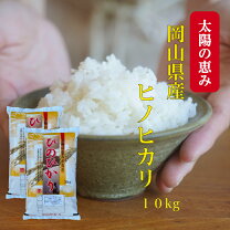 楽天市場】ひのひかり10kgの通販