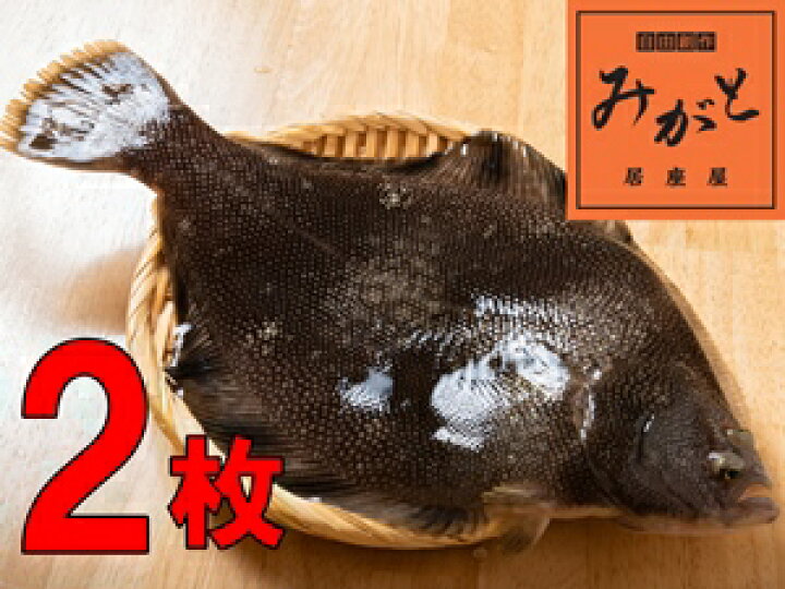 楽天市場 送料無料 マツカワカレイ 青森県産 刺身 焼き魚 煮魚 唐揚げ 漬け 海鮮丼 外ヶ浜町 活締め 送料無料 自由創作みがと居座屋 楽天市場店
