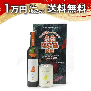V ŋzT} 2025N5Еz { 䒆  yY zCgf[ Ԃ 蕨 v[g y Mtg ̂ i j j a j җj j oYj