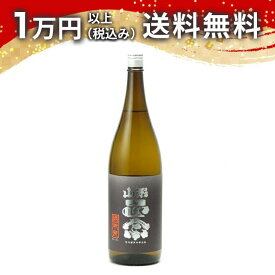 山形正宗 純米吟醸 酒未来 1800ml 日本酒 父の日 母の日 2025 ホワイトデー お返し 贈り物 プレゼント あす楽 ギフト のし 贈答品 お祝 御祝 誕生日 内祝 還暦祝い 結婚祝い 出産祝い お酒 就職祝 退職祝