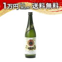榮光冨士 栄光冨士 純米大吟醸無濾過生原酒 日乃輪 720ml 2023年9月詰め 日本酒 夏 父の日 御中元 お中元 手土産 贈り物 プレゼント あす楽 ギフト のし 贈答品 お祝 御祝 誕生日 内祝 還暦祝い 結婚祝い 出産祝い お酒 就職祝 退職祝