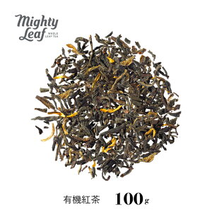 I[KjbNA[OC 100g }CeB[[t I[KjbN r[K Oet[ g [teB[ t[o[eB[ ~NeB[ Mtg 蕨 v[g e j ACX