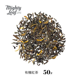 I[KjbNA[OC 50g }CeB[[t I[KjbN r[K Oet[ g [teB[ t t[o[eB[ ~NeB[ ACXeB[ Mtg 蕨 v[g 