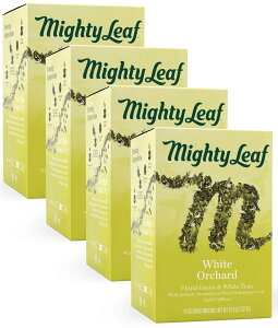 yiE܂ƂߔzzCgI[`[h }CeB[[t r[K Oet[ Β  eB[obO t[o[eB[ ACXeB[ j ؂₩ t[eB[ Mtg 