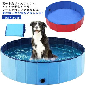 v[ ^ ܂肽 ybgv[  16030cm PVC ϋv qpv[ pv[ Csv  LbY q v[ rj[v[ t@~[v[ xr[v[ {[v[ 