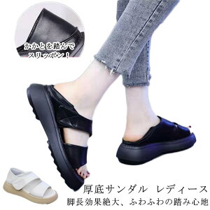 Od ₷ t lԍHw fB[X  yʐ݌v gȌT_ 5cm ~ L ʋC T_ JWAV[Y gȌT_ EH[LOV[