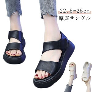 L gȌT_ fB[X ₷ T_ 5cm lԍHw t ~ r yʐ݌v JWAV[Y T_  EH[LOV[Y fB[X Od